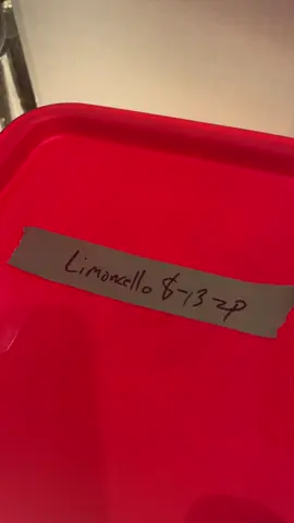 Have you ever tried homemade limoncello? Here’s part one making it from scratch! #fyp #foryourpage #limoncello #speakeasy #behindthebookshelf