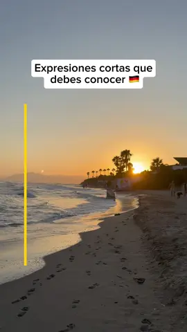 Expresiones cortas que debes conocer en alemán 🇩🇪 #aleman 