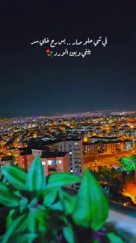 🥰⚘️ #لجلي_عيني😌 #الياس_خضر_طربيات_عراقيه_سوريا #عنتاب #هدوء_الليل🌃 #ممــا_راق_لــي 