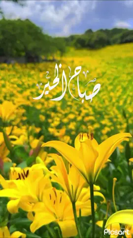 #صباح_الخير #دعاء جميل#اذكار الصباح #اكسبلور #