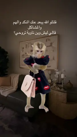 #Meme #MemeCut #اصالة #اصالة_نصري  #🇨🇦 