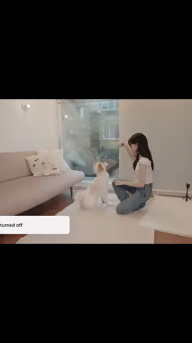 Jo yuri feeding her dog (Hana) #JoYuri #ForYou #joyuri #cute #dog
