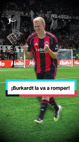@Hugo Larsson lo dice: ¡Burkardt va a romperla con @Eintracht Frankfurt ! 🔥🦅 #BundesligaAmericas