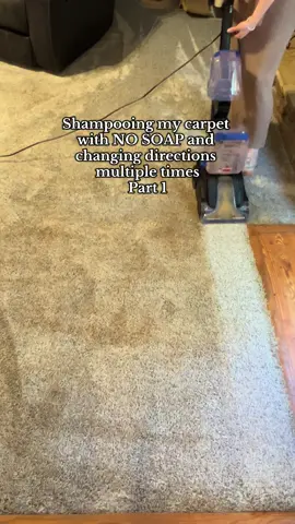 These are the two most given pieces of advice I get, so what do you guys think?! #carpet #carpetcleaning #carpetshampoo #satisfying #fyp 