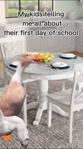 #Meme #MemeCut #school #kids #girlmom 