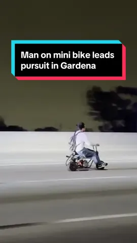 Not your typical pursuit 🚲 Gardena police and the California Highway Patrol chased two men on mini bikes on the 110 Freeway Tuesday night. One of them was arrested after he ran out of gas, but the other man is still on the loose. #nbcla