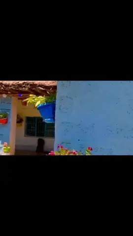 ئەوەی قەدری ئەڵماسی خۆی نەزانێ ، ئەبێ تا مردن خەریکی کۆکردنەوەی وردە ئاسنی خەڵک بێ !! 🖤 . . . . . #dyariarahman  #في هذا اليوم 