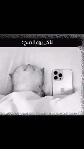 #شرين 