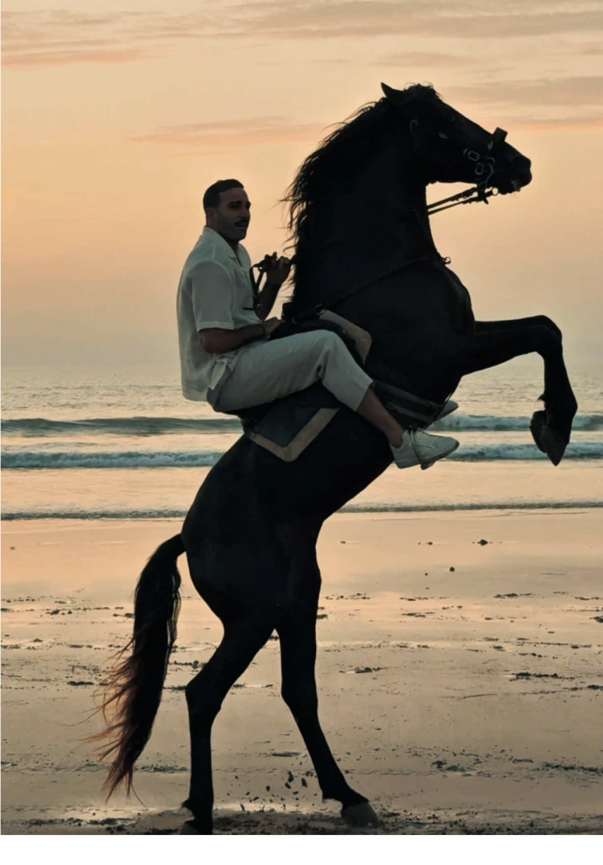 Dream vibe  #beach #foryoupage #horse #explore #morocco🇲🇦 #essaouira #essaouira #marrakech #casablanca #videoviral #fyp #sunset #morocco 