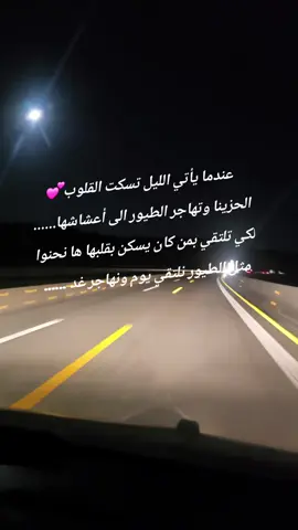 #فرنسا🇨🇵_بلجيكا🇧🇪_المانيا🇩🇪_اسبانيا🇪🇸 #المانيا_السويد_النمسا_النروج_ديارك مساكم كاطيور المهاجرة 