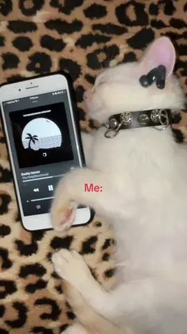 #theneighbourhood 