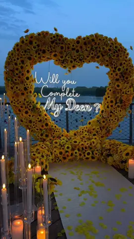 Sunflower set 💛🌻 #sunflowerproposal #willyoucompletemydeen #sunflower #sonnenblumen #heiratsantrag 