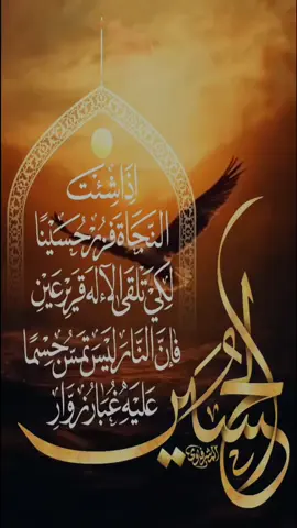 إذا شئت النجاة فزر حسيناً 💔 لكي تلقى الإله قرير عين فإن النار ليس تمس جسماً عليه غبار زوار الحسين #أكسبلور #عاشوراء #لبيك_ياحسين #مشايه_الأربعين #العراق_السعوديه_الاردن_الخليج 
