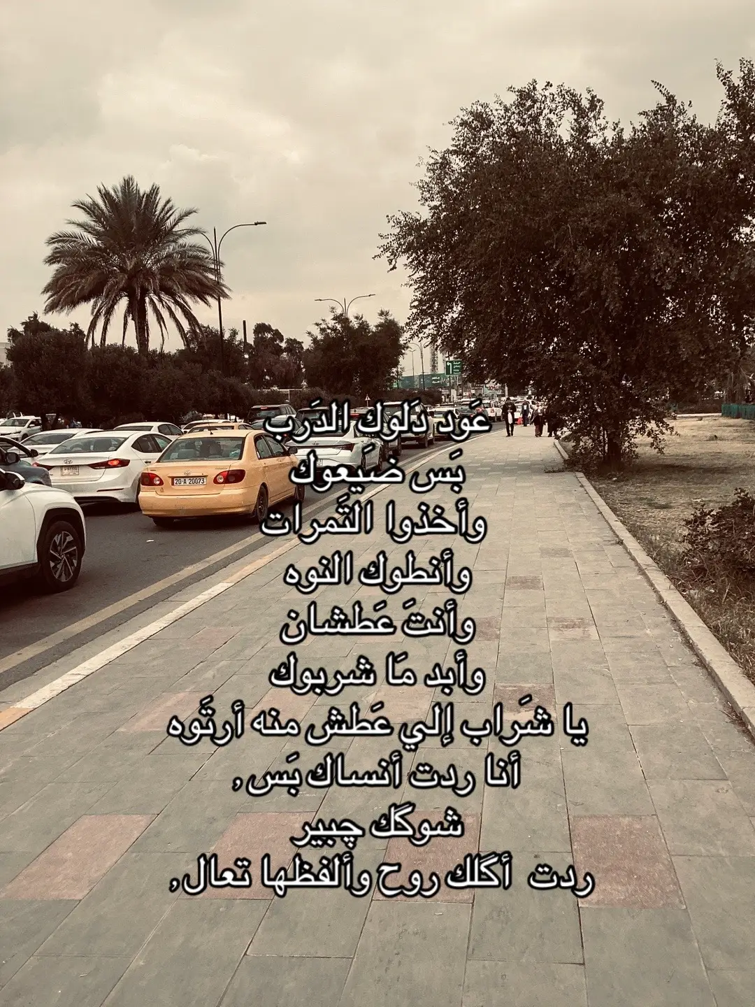 #شعراء_وذواقين_الشعر_الشعبي🎸 #parati #سميرصبيح #شعر #عراقي 