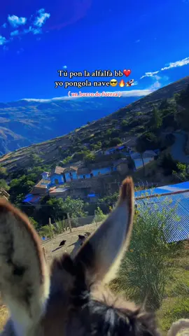 Bastante económico 😌😎#contenido #viralvideos #biker #humor #burros 