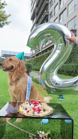 Felices 2 años a mi chiquito guapo 🐶🩵