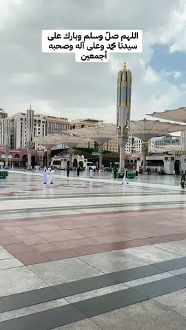 #عليه_الصلاة_والسلام 🤍 #مدينة_رسول_الله #المدينة_المنورة #المسجد_النبوي #المسجد_النبوي_الشريف 