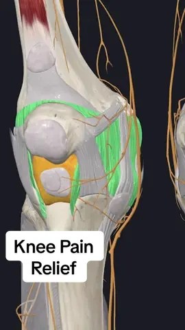 Pain on the inside of your knee? Do this one exercise! #kneepain #kneestrengthening 