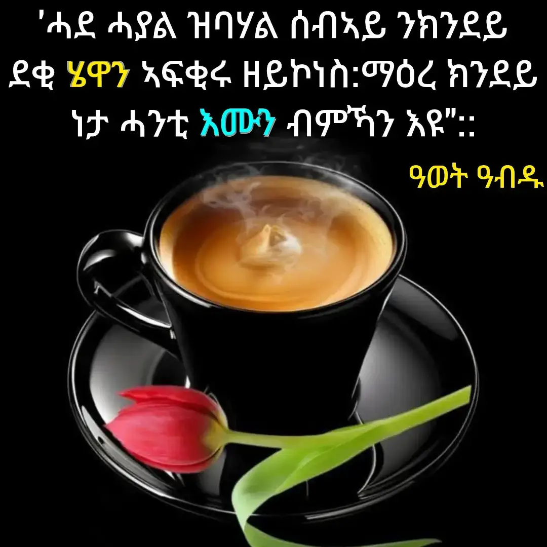 #eritreantiktok🇪🇷🇪🇷habeshatiktok #eritreantiktok🇪🇷🇪🇷habeshatiktok #eritreantiktok🇪🇷🇪🇷habeshatiktok #eritreantiktok🇪🇷🇪🇷habeshatiktok #eritreantiktok🇪🇷🇪🇷habeshatiktok 