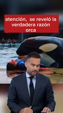 #new #news #eeuu #usa #breakingnews 