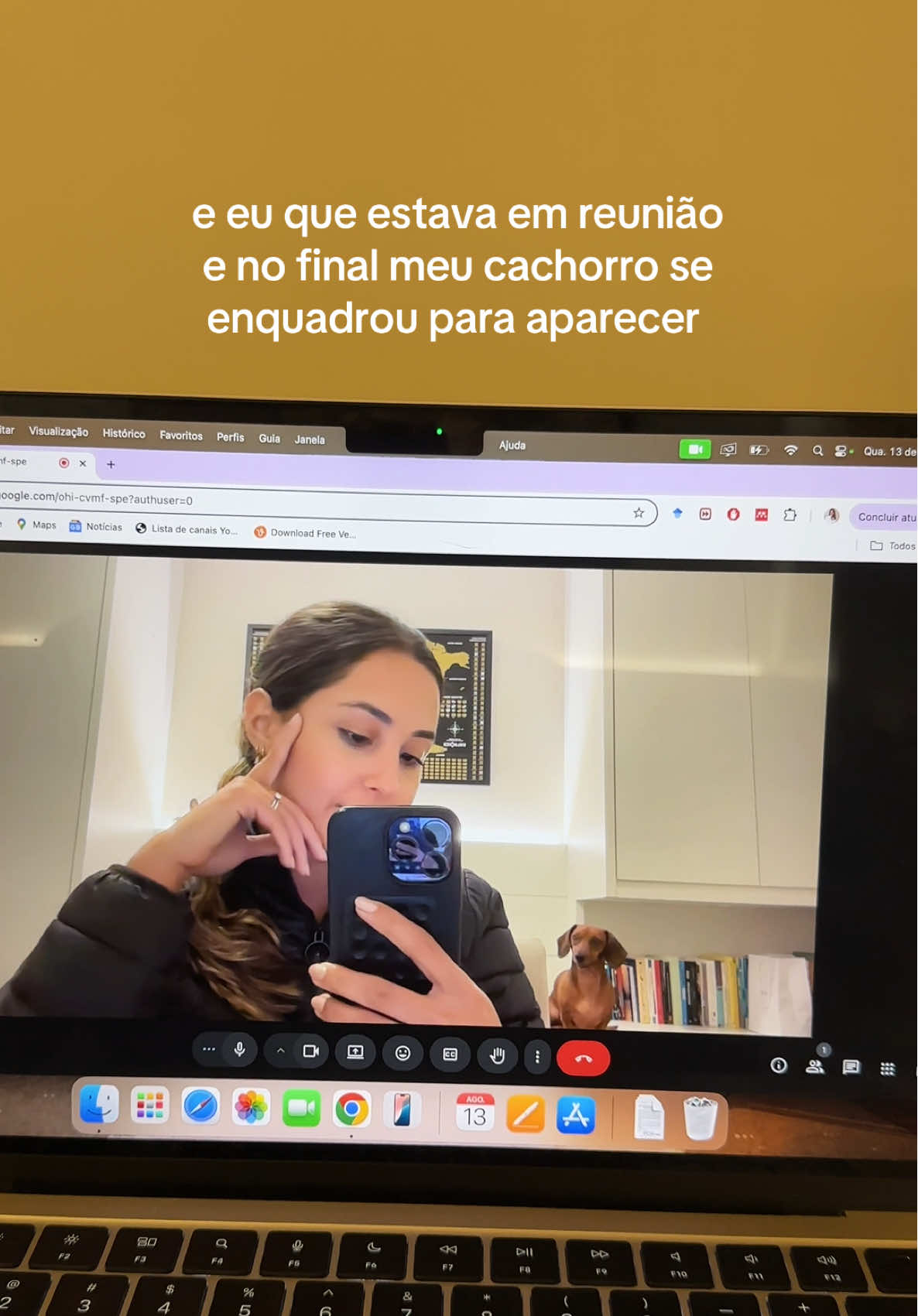 Fui obrigada a esperar o pessoal sair da sala e filmar o Niko que parou igual um papagaio de pirata e ficou ali bem sério olhando kkkkkk #dachshund #dachshundsoftiktok  #dachshundpuppy #dachshunds #fy 