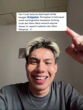 hari cicak? 😭