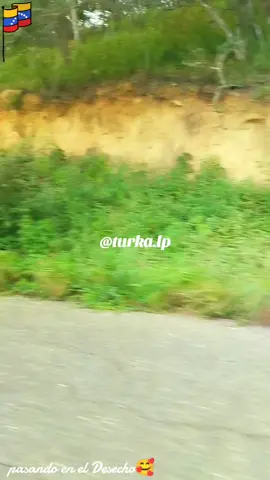 #venezuela🇻🇪turka #raspacanillasam #🇻🇪🇻🇪 #urdaneta #