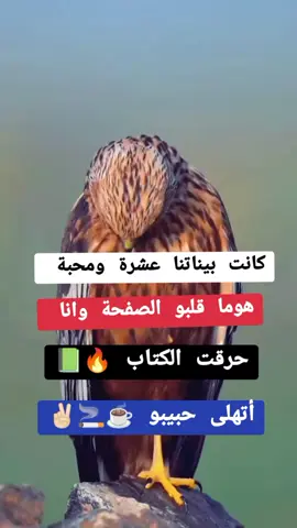 #f #F #fyp #شلفاوة_والحلاوة🔥 #شعب_الصيني_ماله_حل😂😂 