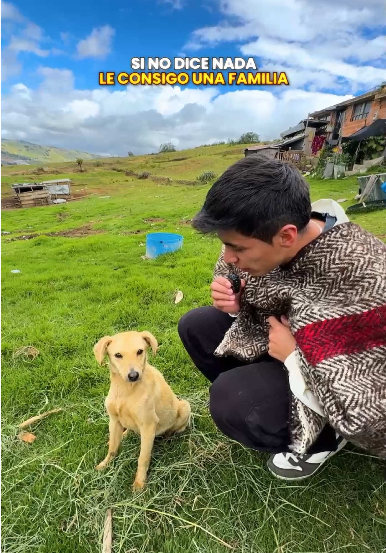 Parte No me acuerdo 😅 solo un poco de amor y hasta el pelaje les cambia 🥺♥️ #perros #adopcion #mascotas #fyp 