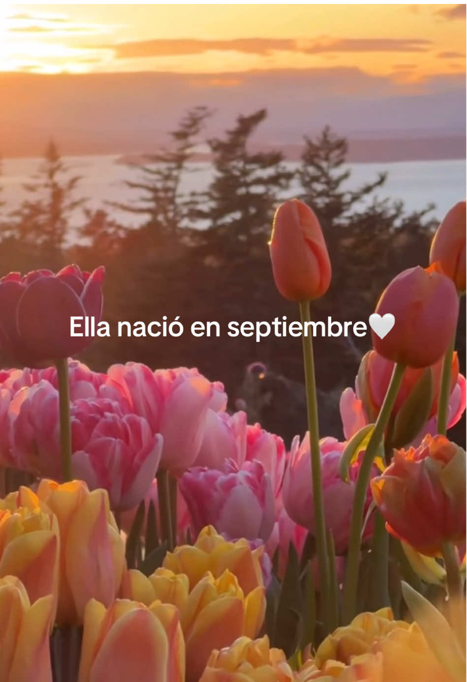 El mejor mes🤍 #septiembre #girl #vibes #paratii #cumpleaños 