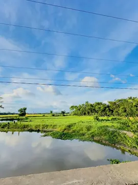 ❤️‍🩹 আল্লাহুম্মাগফিরলি 