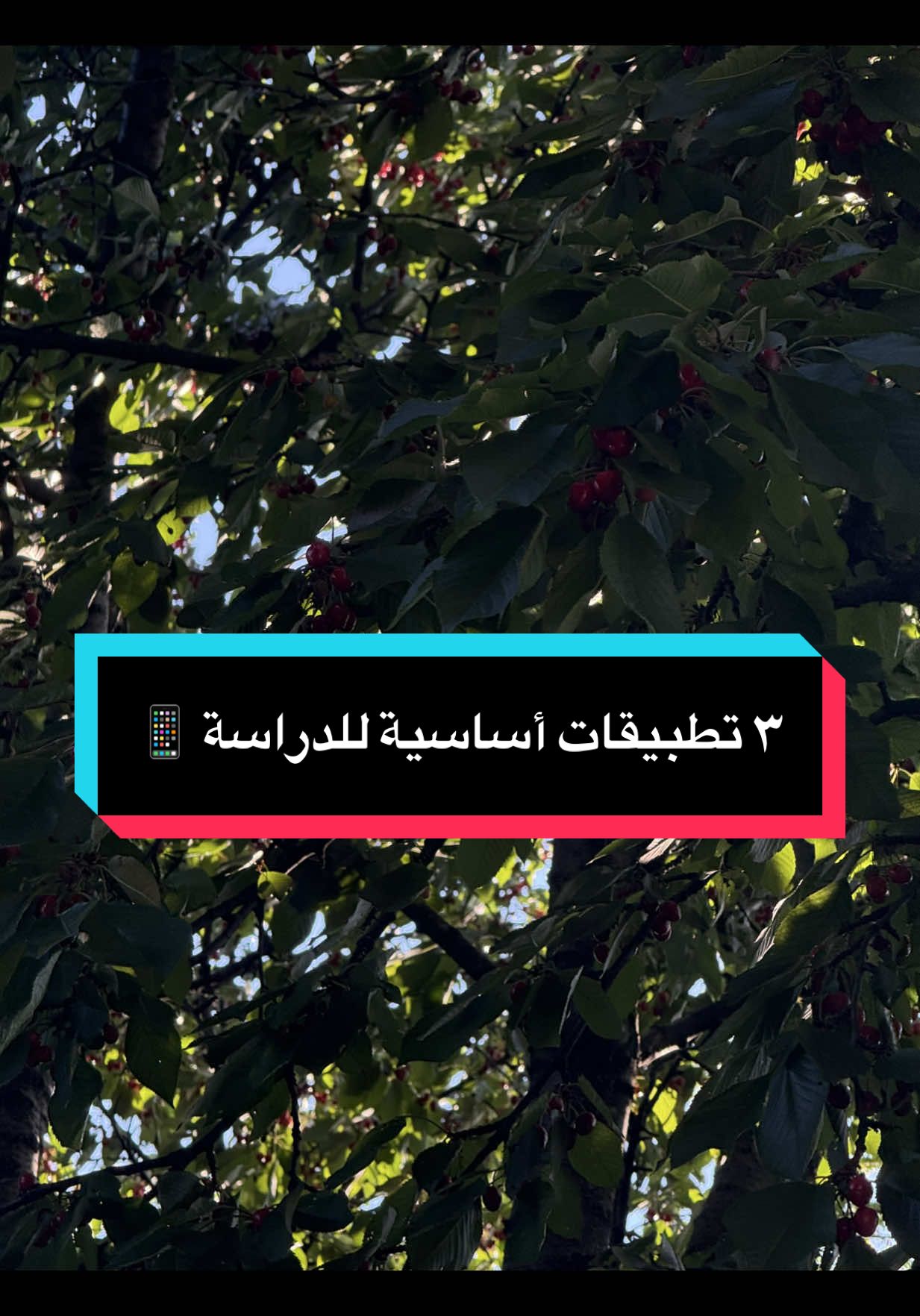 إيش التطبيقات اللي أنتم تستخدمونها للمذاكرة؟ 📚✨ #دراسة #نصائح_دراسية #طلاب #تنظيم #fyp 