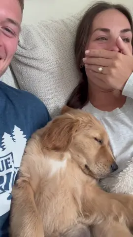 When Cash had to dream to find his first bark #sleepingbaby #sleepingpuppy #puppy #goldenretriever #dogsoftiktok 