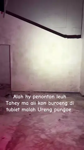 Eu hy penonton kon yang ta Perle di tubiet tahey mak ali kok buroeng di tubiet malah Ureng pungoe #fyp #malamjummatkliwon #misterialamliar #suarahantu #sosokpocong @Misteri Alam Liar  