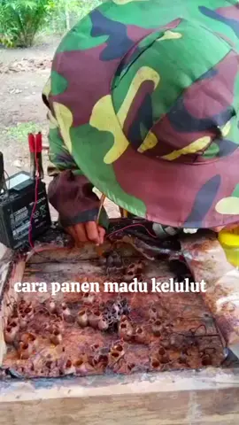 #madukelulut#fyppppp 