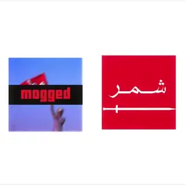#زوبع 