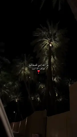 🌴✨