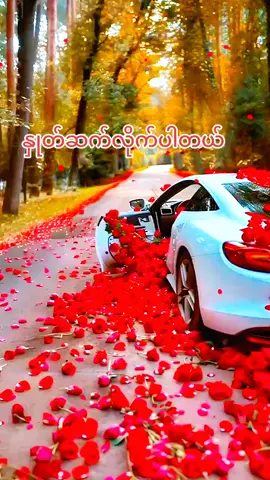 #fypシ゚viral #fypシ゚ #အတွေးအခေါ်စာစုများ #မူရင်းရေးသားသူအားလေးစားစွာ credit ပေးပါတယ် # tik tok myanmar