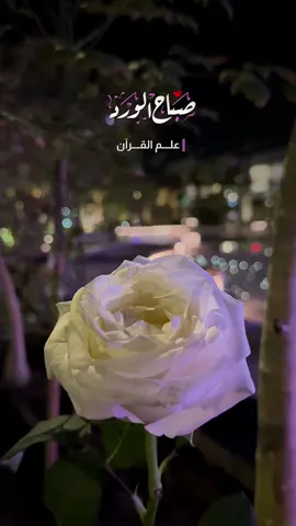 يارب انت الرحمن علم القرآن خلق الإنس علمه البيان … #صباح_الخير #صباح #دعاء 