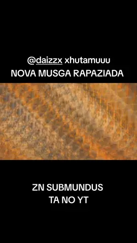 #zonanorte 