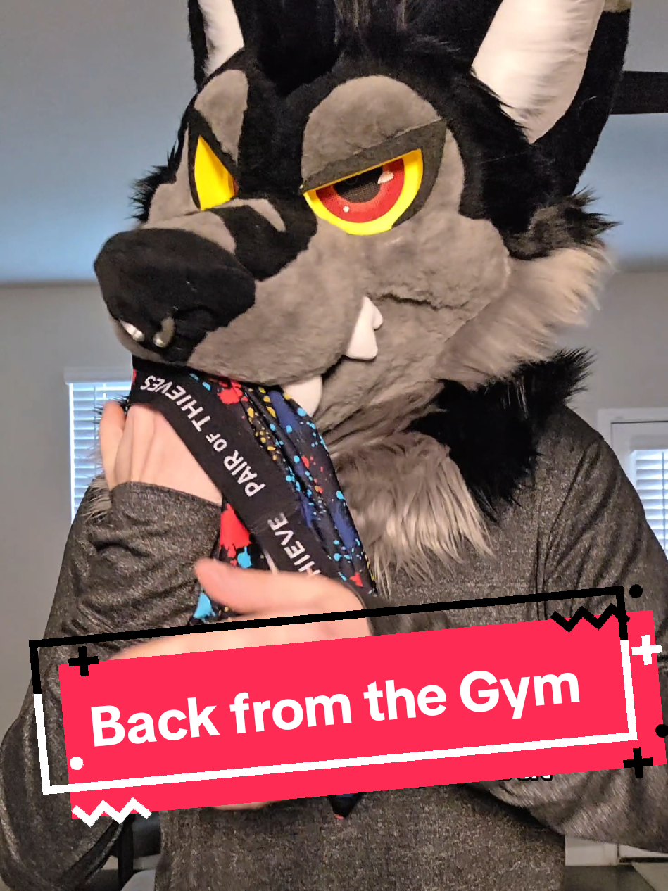 It's gotta be fresh tho, no stinky gym boy smell for me lol. But those undies are mine now 🥰 #furry #fursuit #fursuiter #furryfandom #furriesoftiktok 
