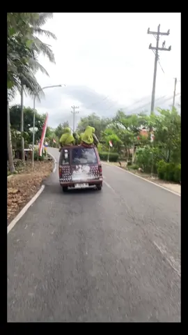 Gua kira naik diatasnya😭