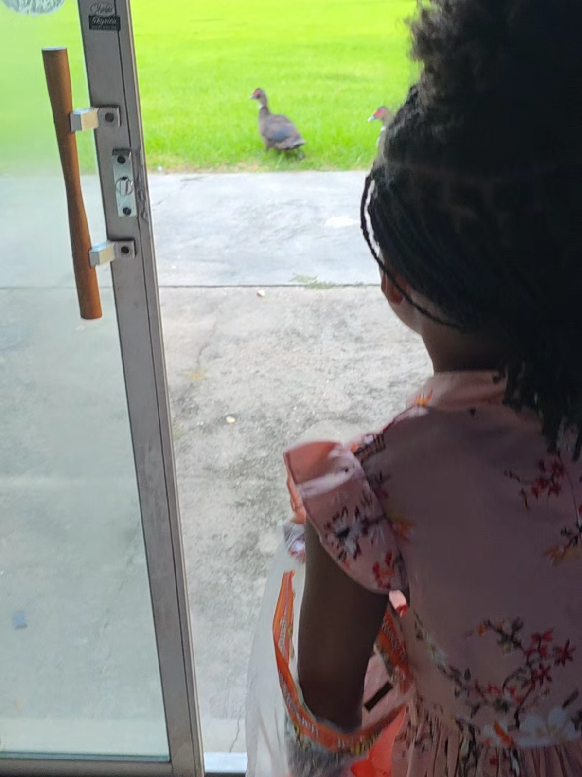 Country Living!! Feeding Ducks!! #countrylife #feedingducks #ducksoftiktok  #bayoulife 