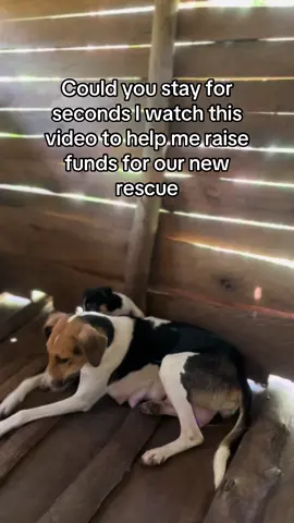 Sharing is caring and caring is love link in bio