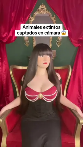 Animales extintos captados en cámara 😱 #fyp #parati #sorprendete #xzybca #fannyreynoso 