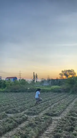 Gagal terbang🪁#madurapride🔥 #layangankaksekaan #layanganviral #hobiparalakilaki😅😝 #nyalabuhlaok 