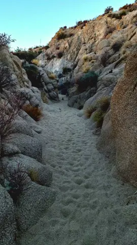 I have so much to offer! Two deserts, lots of unique and rare plants, plus LOTS of visually appealing rock formations, all of which will have you feeling like you're on another planet. So stop being mainstream and going to the boring and basic parks like Yosemite, Yellowstone and Zion. Stand out from the crowd and enter the most unique park. Me! I am exceptionally hot this month though so be sure to check my temperature before you enter me and don't forget to wear protection 🧢👒🧴💦 #nationalpark #joshuatree #desert #unique #traveltiktok 
