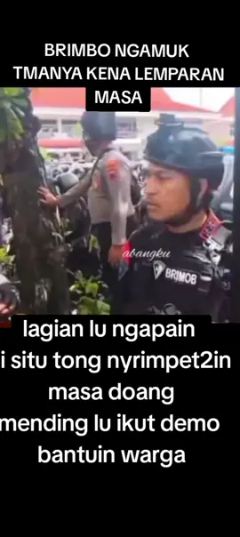 BRIMBO NGAMUK😅😅😅 #sudewo  #demopati  #patiorasepele 