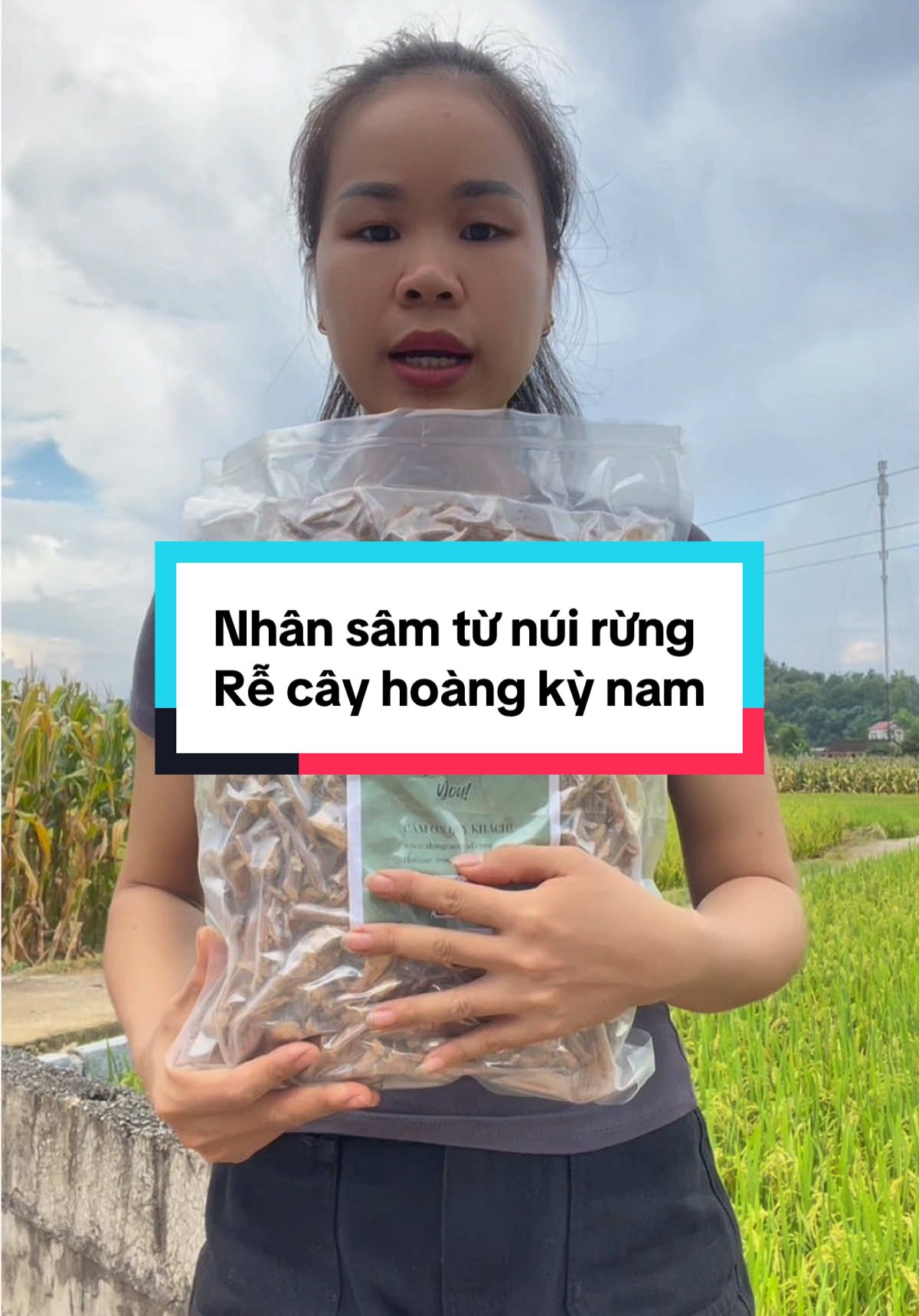 Uống đều mỗi ngày từ từ phục hồi. Rễ cây tự nhiên rừng nên không lo tác dụng phụ. #hoangkynam #rehoangkynam #thaoduoc #thaoduocthiennhien #xuhuong 