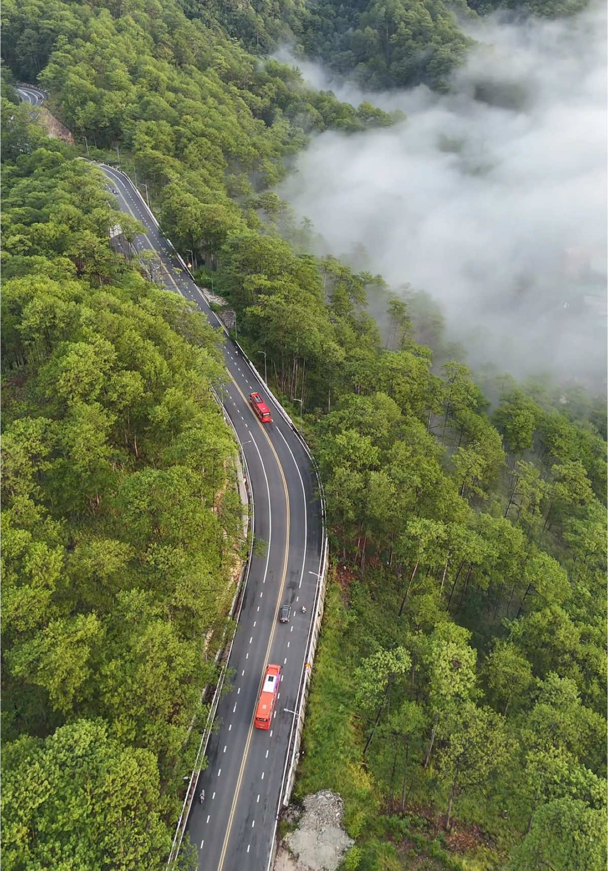 Sự nhộn nhịp của đèo prenn #sonflycam999 #dalat #dalatreview #dalatstory #reviewdalat #thiennhien #canhdep #niemvuimoingay #fyp #xuhuong #deoprenn 